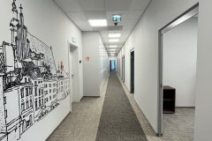 IMG_7946