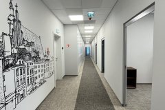 IMG_7946